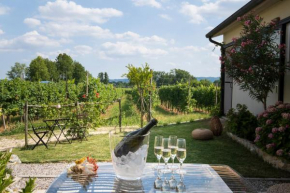 Le Vigne del Gallo Farra Di Soligo